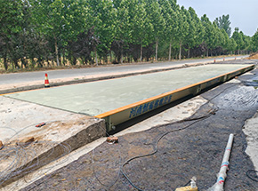 開封尉氏縣昌盛糧油2臺地磅