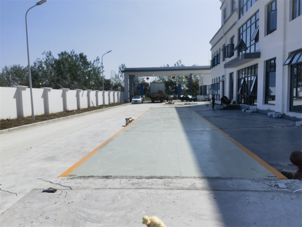 微信圖片_20241009135812